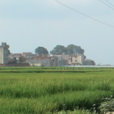 上西河村(雲南江川縣江城鎮下轄村) 上西河村(雲南江川縣江城鎮下轄村)