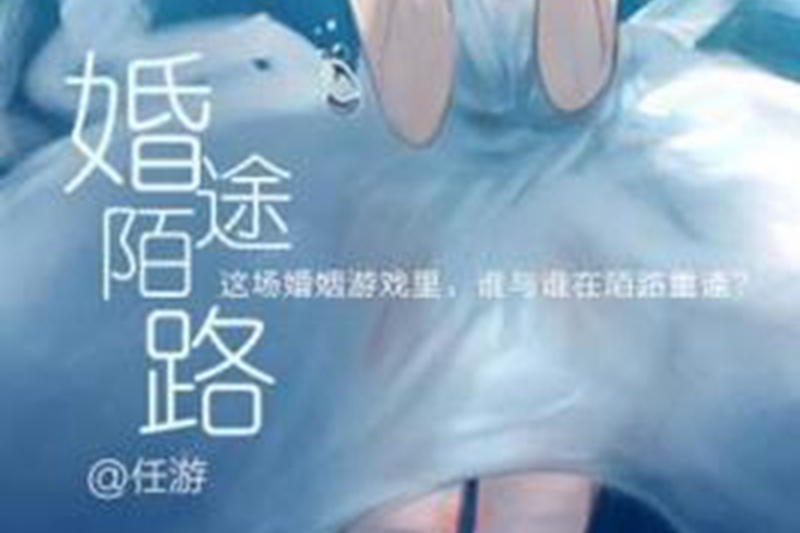 婚途陌路(任游所著小說) 婚途陌路(任游所著小說)
