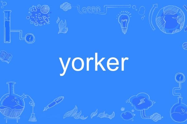 yorker yorker