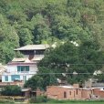 張家卓村 張家卓村