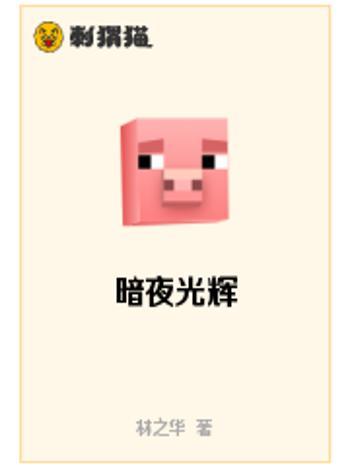 暗夜光輝 暗夜光輝