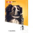 牧犬小亂子 牧犬小亂子