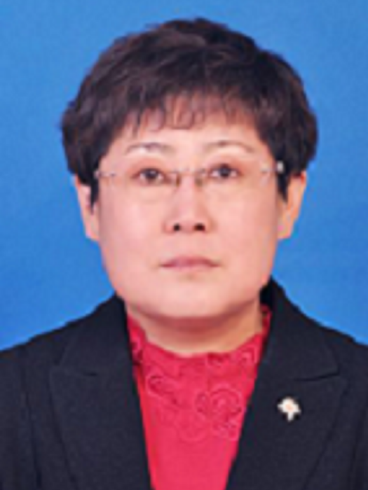 王彬(河北省政府參事室(省文史研究館)黨組書記) 王彬(河北省政府參事室(省文史研究館)黨組書記)