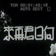 何日君再來(1943年袁美雲主演電影) 何日君再來(1943年袁美雲主演電影)