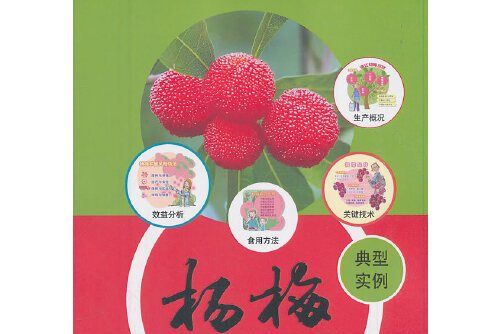 楊梅(2019年中國農業科學技術出版社出版的圖書) 楊梅(2019年中國農業科學技術出版社出版的圖書)