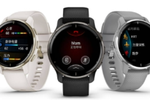 Garmin Venu 2 Plus Garmin Venu 2 Plus
