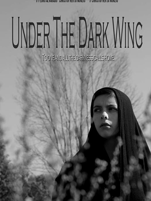 Under the Dark Wing Under the Dark Wing