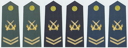 陸海空軍四級軍士長軍銜肩章(2009—)