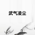 武氣凌塵 武氣凌塵