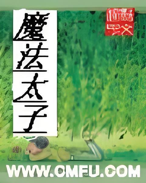 魔法太子 魔法太子