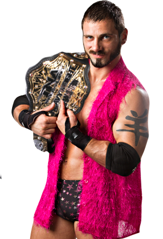 TNA世界重量級冠軍