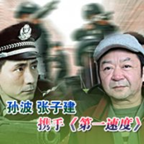 第一速度(2007年孫波執導的警匪作品)