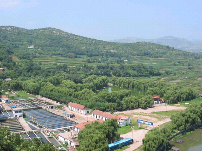 泉河村(山東省淄博市博山區源泉鎮下轄村) 泉河村(山東省淄博市博山區源泉鎮下轄村)