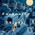 Enchanted Night Enchanted Night