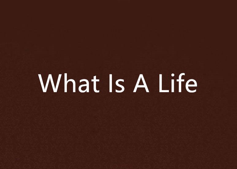 What Is A Life What Is A Life