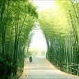 望壩革寨 望壩革寨