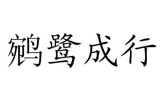 鵷鷺成行 鵷鷺成行