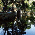 虞家花園 虞家花園