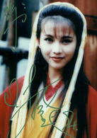 白髮魔女傳(1994年蔡少芬主演香港電視劇)