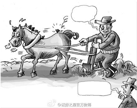 牛蠅效應 牛蠅效應
