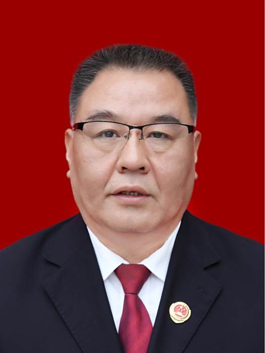 左鋒(陝西省鹹陽市涇陽縣人民檢察院黨組副書記、副檢察長)