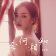 奈何相知 奈何相知
