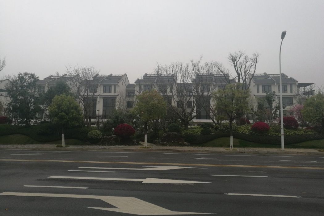 鳳凰山路(泰安市鳳凰山路) 鳳凰山路(泰安市鳳凰山路)