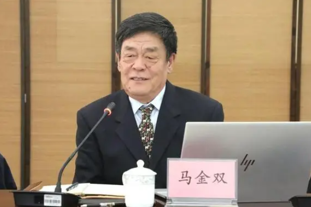 馬金雙 馬金雙