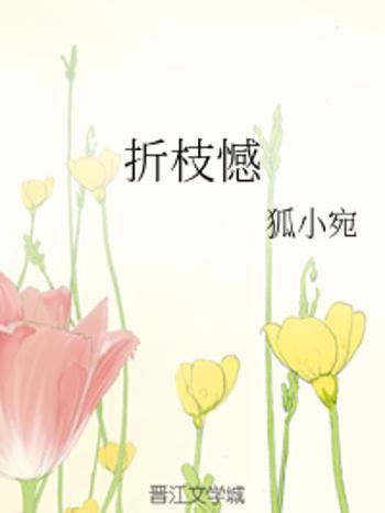 折枝憾 折枝憾