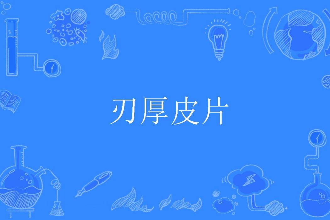刃厚皮片 刃厚皮片