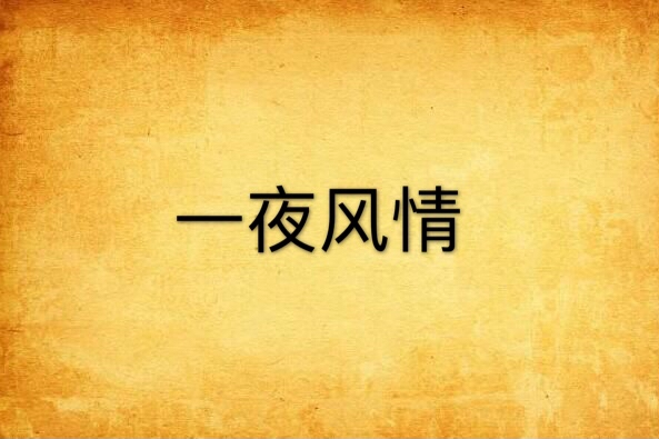 一夜風情 一夜風情