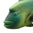 紋唇魚