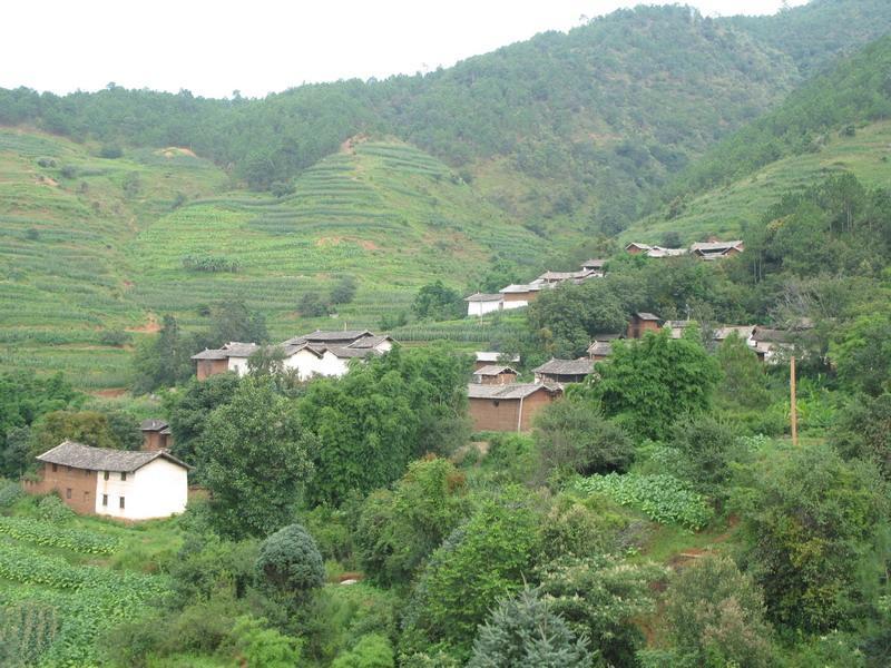 板橋坪村 板橋坪村