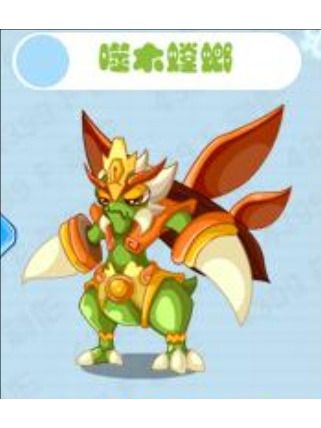 噬木螳螂 噬木螳螂