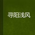 尋陽淺風