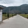 南秀邑村 南秀邑村