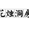 花燭洞房 花燭洞房