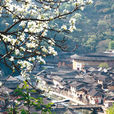 旅遊新聞
