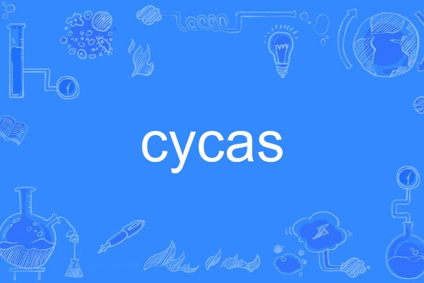 cycas cycas
