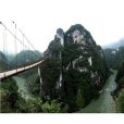 楠木吊橋 楠木吊橋