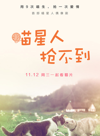 葉芸菲 葉芸菲