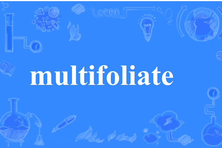 multifoliate multifoliate