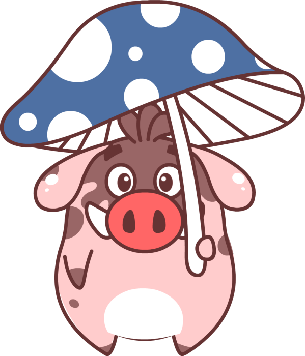 小豬滾滾 小豬滾滾