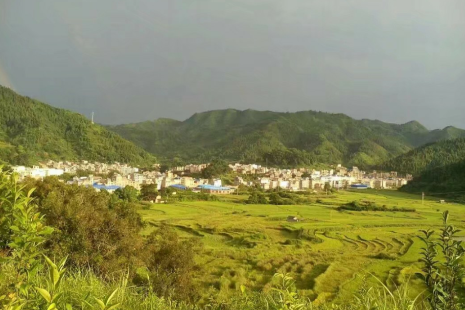 底圩村 底圩村