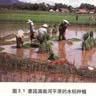湄南河平原 湄南河平原