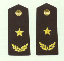 海軍少將軍銜肩章