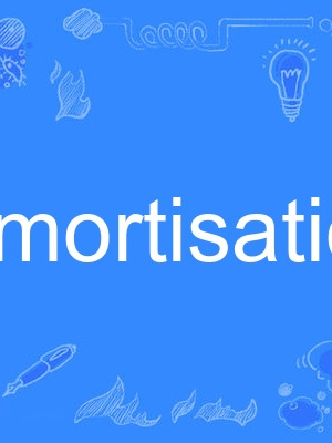 amortisation amortisation