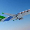 C919