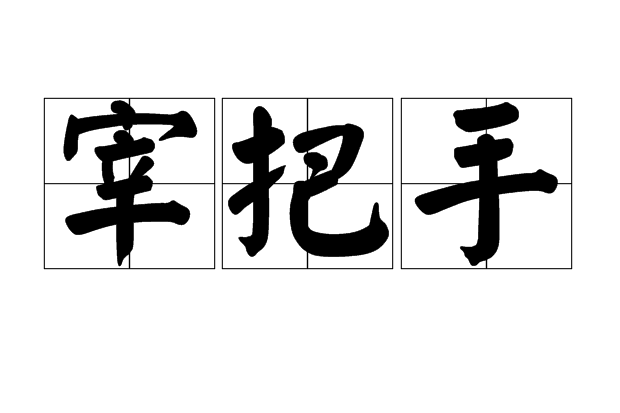 宰把手