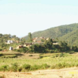 安南村(雲南彌渡縣密祉鄉下轄村)